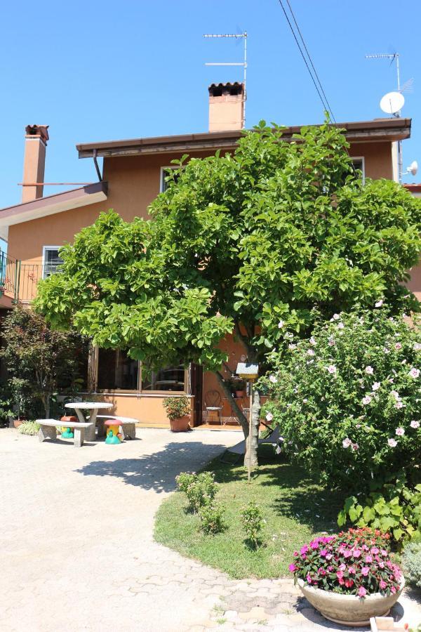 Casa Flora Treppo Grande Exterior foto